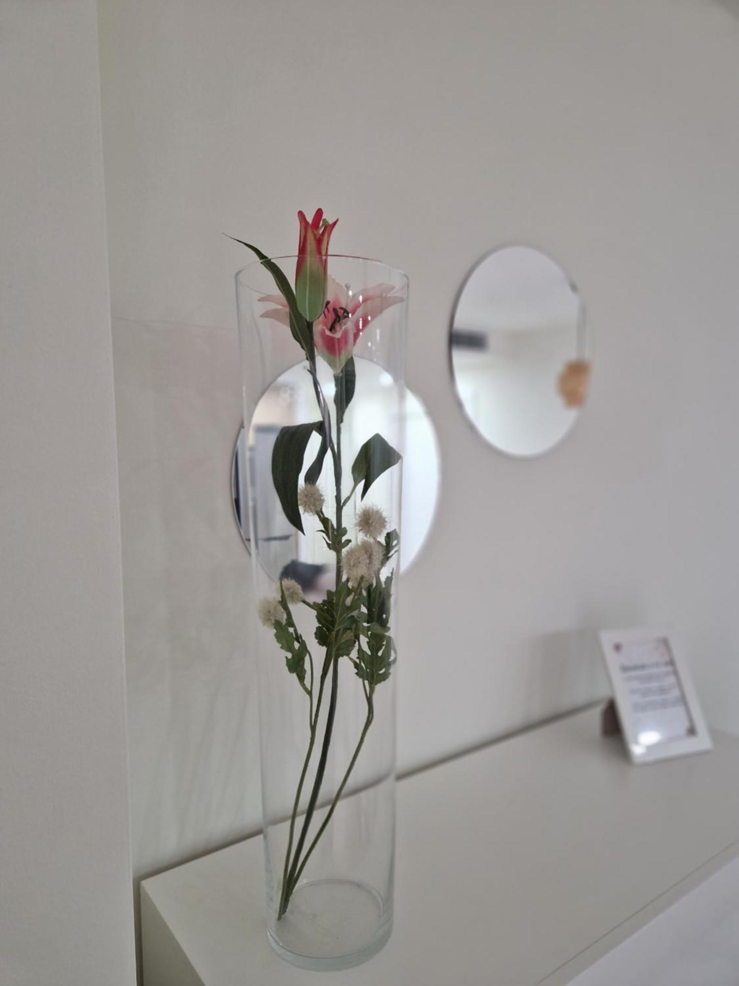 Apartamento V27 Baeza Εξωτερικό φωτογραφία