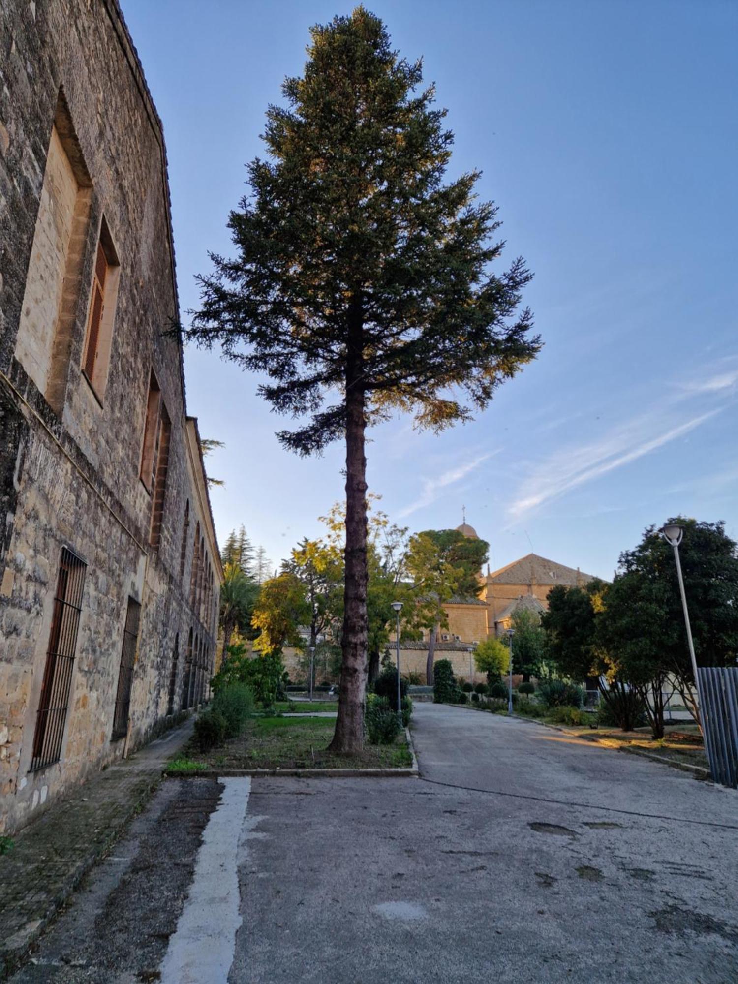 Apartamento V27 Baeza Εξωτερικό φωτογραφία